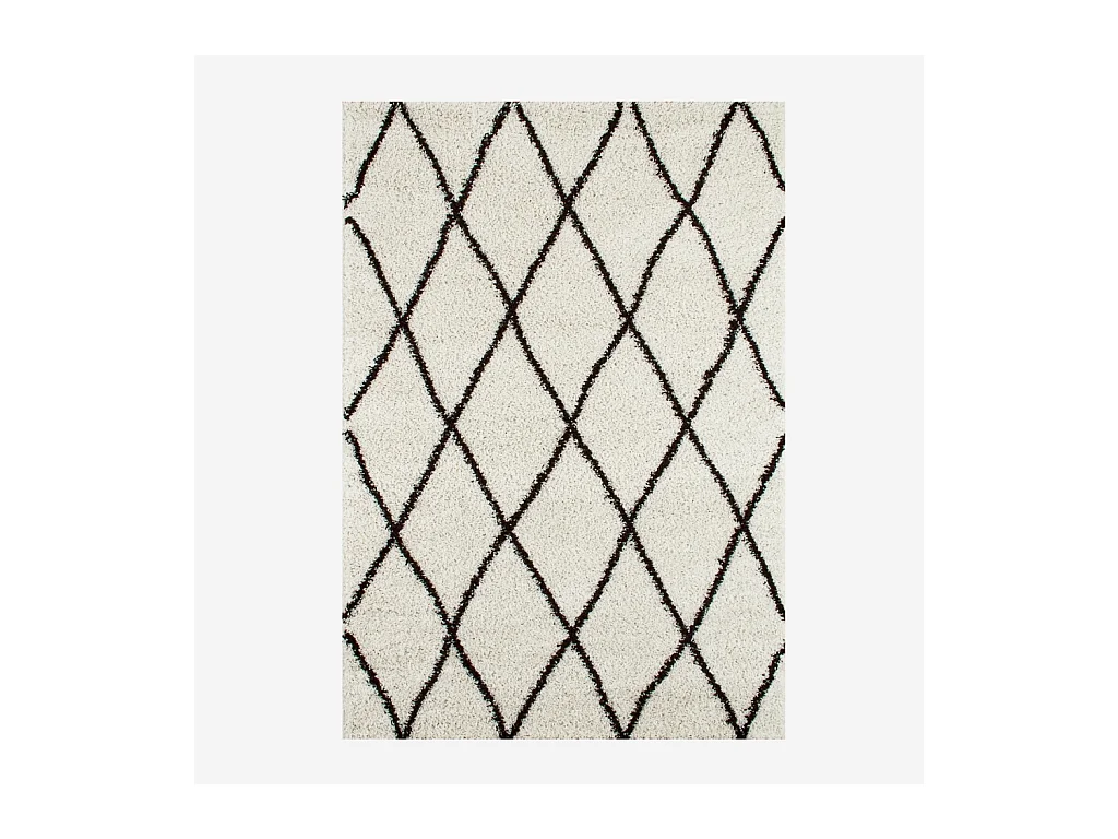 Tapis intérieur shaggy. poils longs. style berbère. blanc et noir 160 x 230 cm - Robby