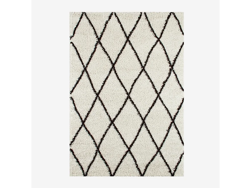 Tapis intérieur shaggy. poils longs. style berbère. blanc et noir 200 x 290 cm - Robby