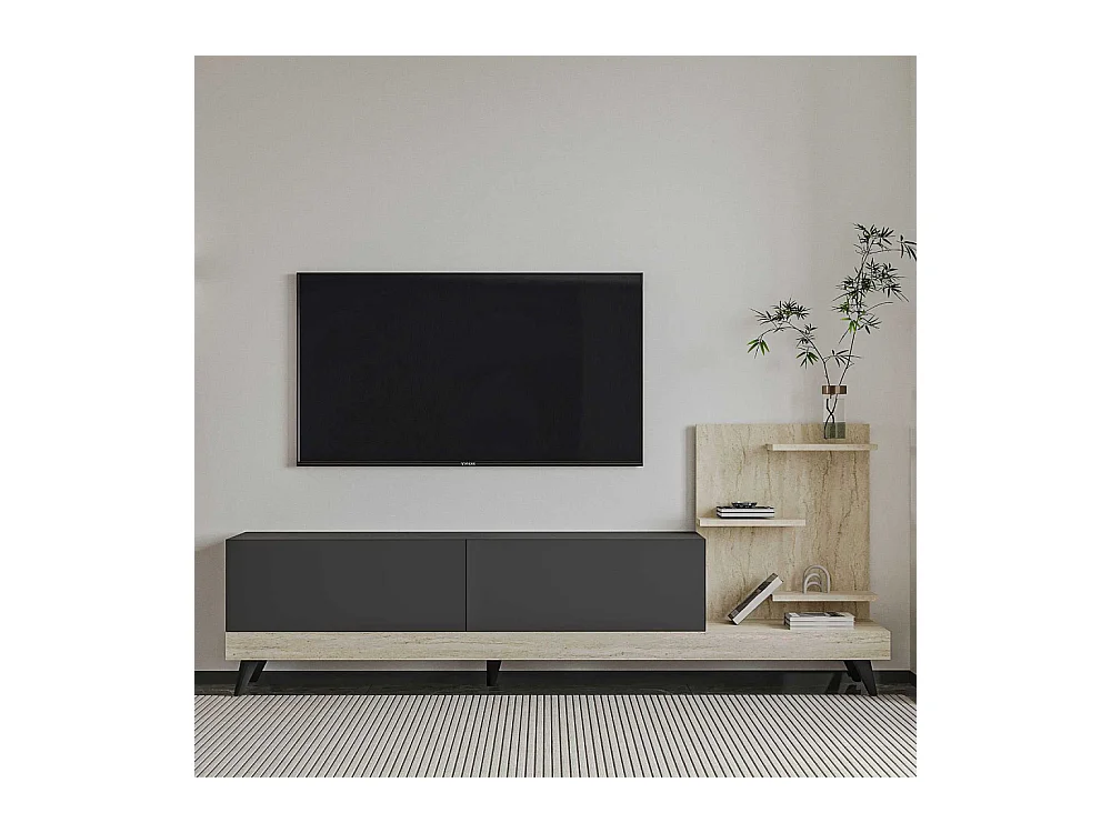 Meuble TV 2 portes avec étagères Dizayn