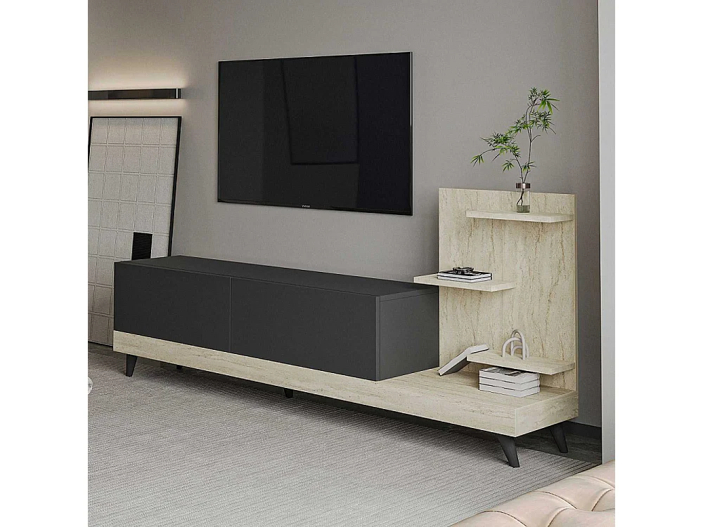 Meuble TV 2 portes avec étagères Dizayn