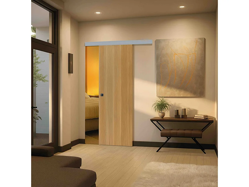 Porte coulissante cloison Matild 73 cm avec cuvette carrée noire