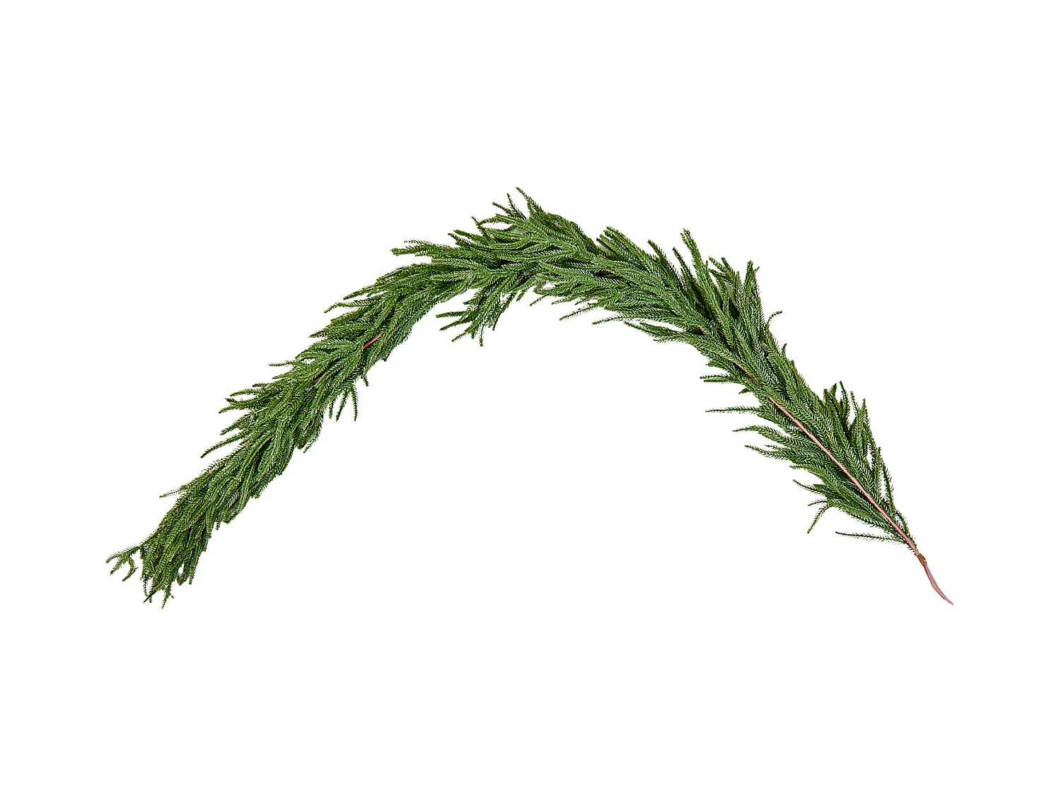 Ghirlanda di Natale SucceBuy, 1,8 m, Ghirlanda di Pino Norfolk Artificiale, Decorazione Natalizia Verde, per Interno, Esterno, su Tavolo, Mensola del Camino