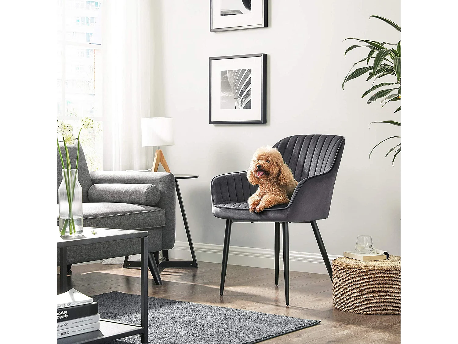 Esszimmerstuhl 2er-Set Mova