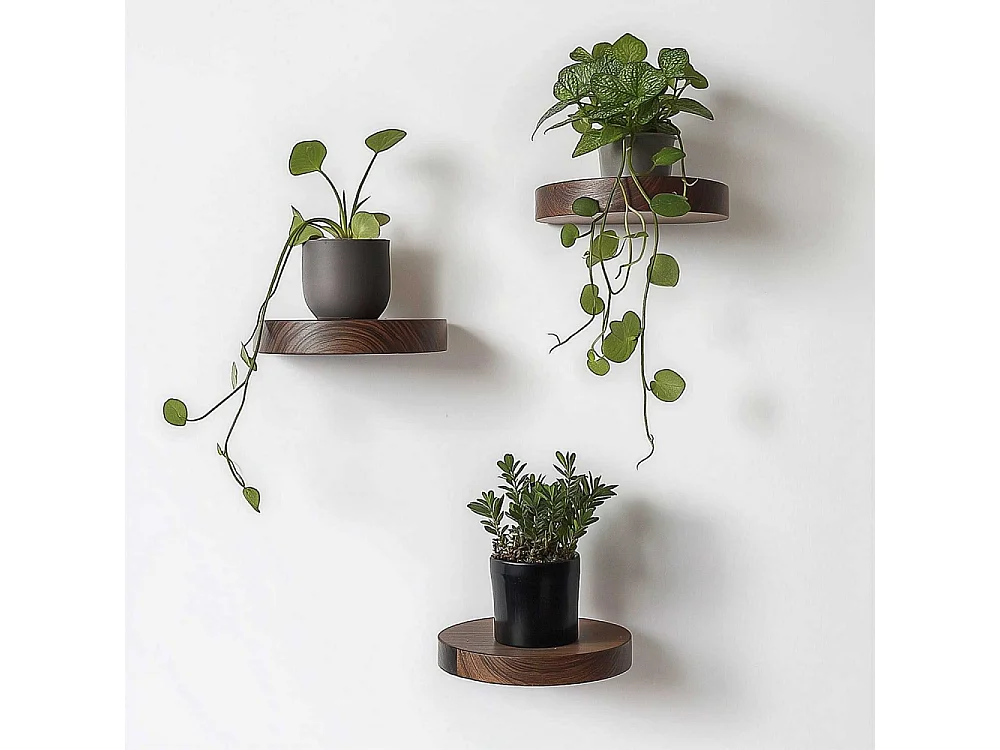 Dekoratives Holzregal – 12 cm Durchmesser, 1,9 cm Höhe – Holzfarbe – 100 % Massivholz