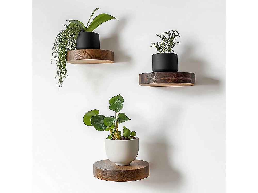 Prateleira Decorativa de Madeira – 12 cm de diâmetro, 1,9 cm de altura – Cor de Madeira – 100% Madeira Maciça