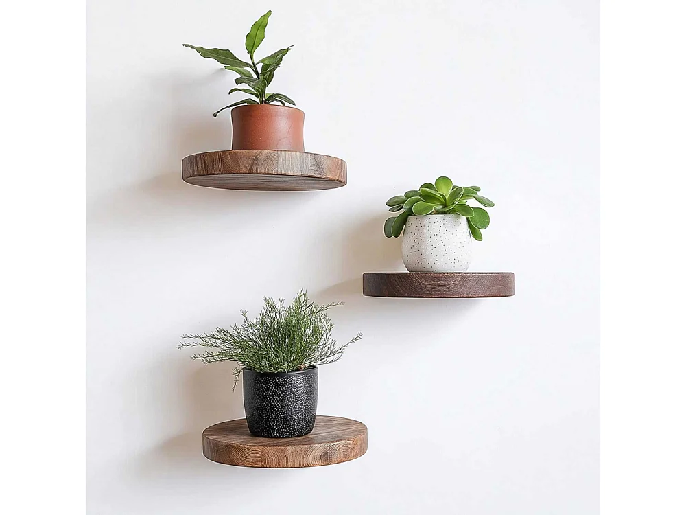 Prateleira Decorativa de Madeira – 12 cm de diâmetro, 1,9 cm de altura – Cor de Madeira – 100% Madeira Maciça