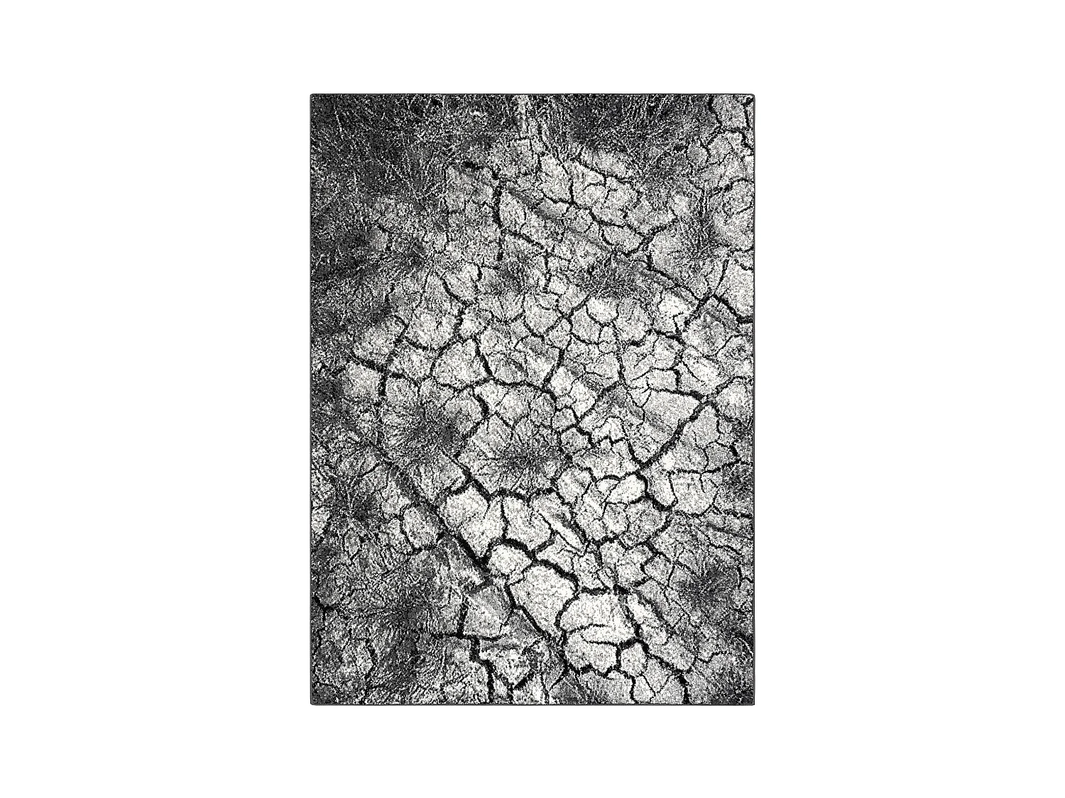 Tapis SILVER Terra sol fissuré gris 200x400 cm