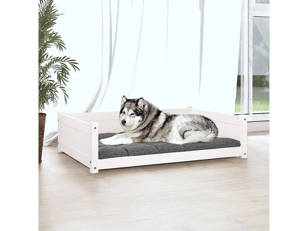 Lit pour chien Blanc 105,5x75,5x28 cm Bois de pin solide