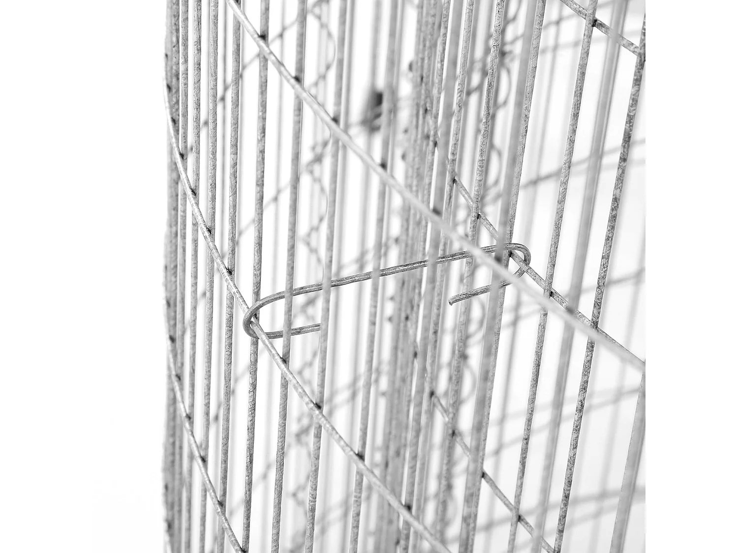 Gabbioni Farias Brito