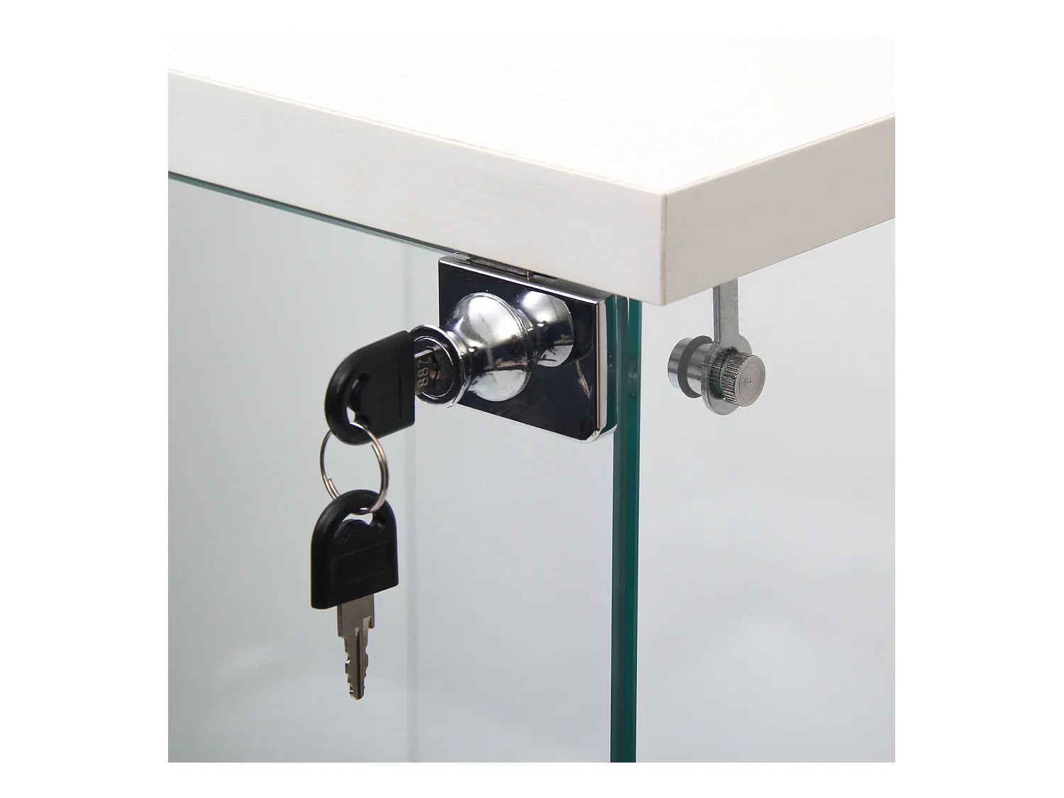 Vitrine en Verre - 3 étagères en Verre - avec Portes et Serrure - Blanc