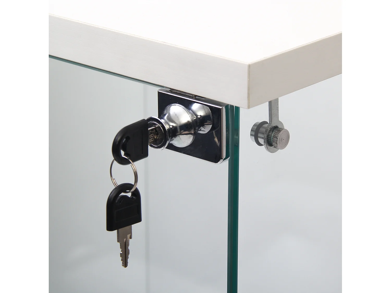 Vitrine en Verre - 3 étagères en Verre - avec Portes et Serrure - Blanc