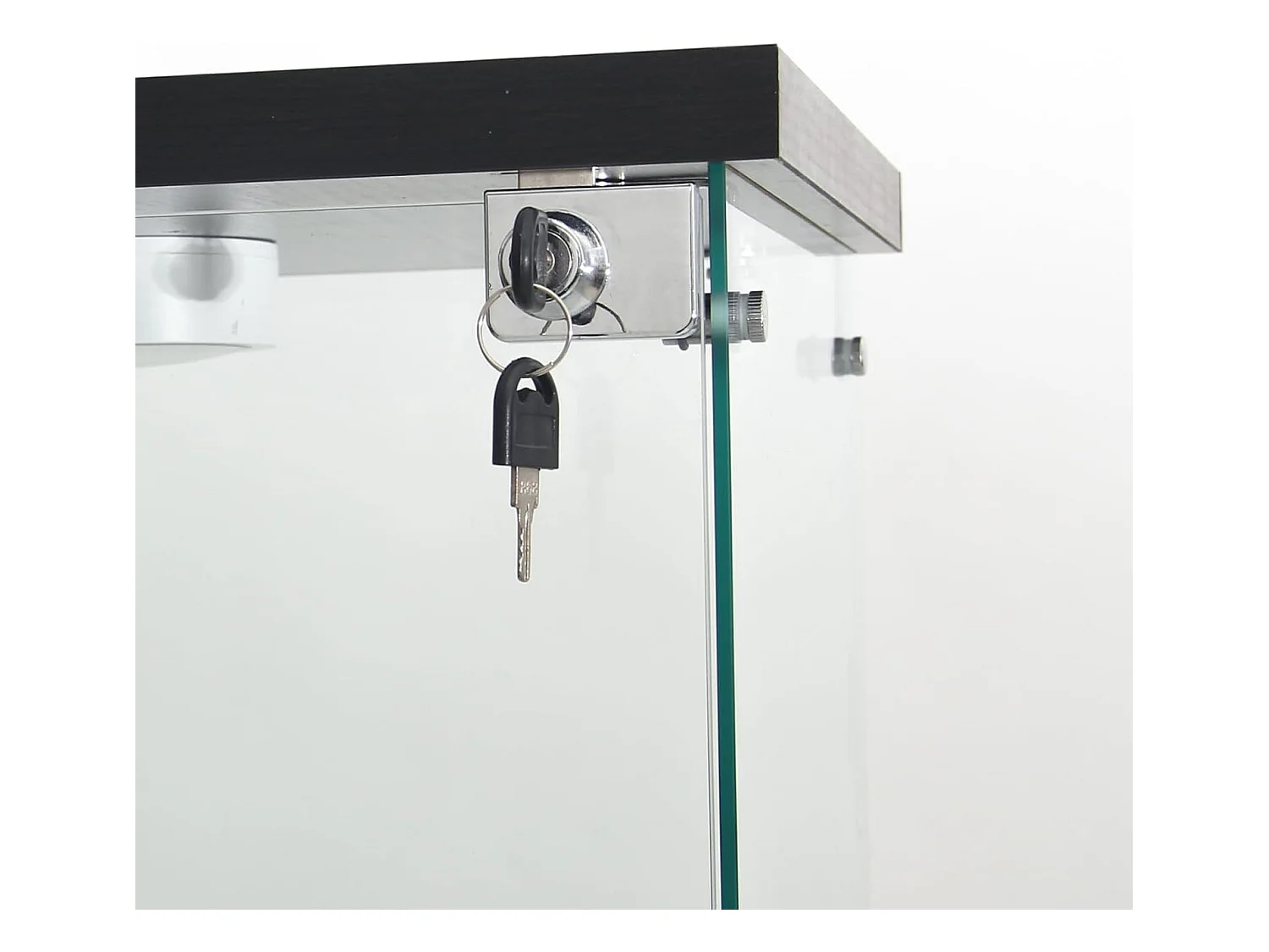 Vitrine en verre 4 étagères, LED, 1 porte, 164x42x36 cm, meuble pour collection, noir, transparent