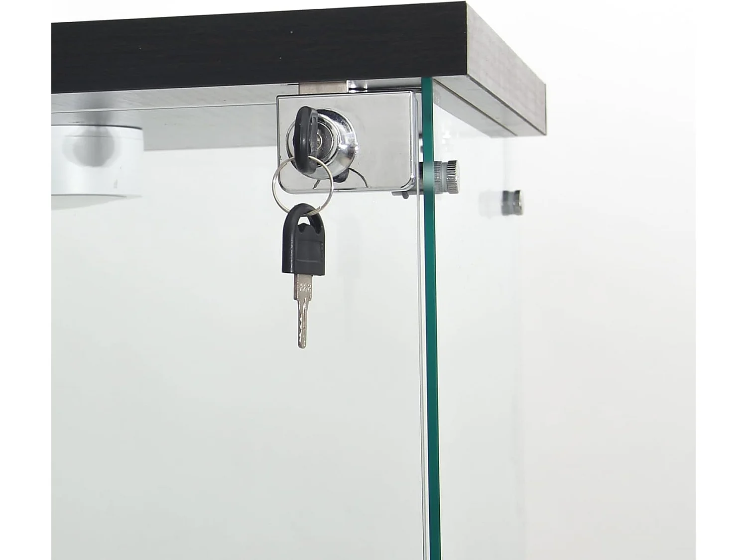 Vetrina in vetro con 4 ripiani, LED, 1 anta, 164x42x36 cm, mobiletto portaoggetti, nero, trasparente