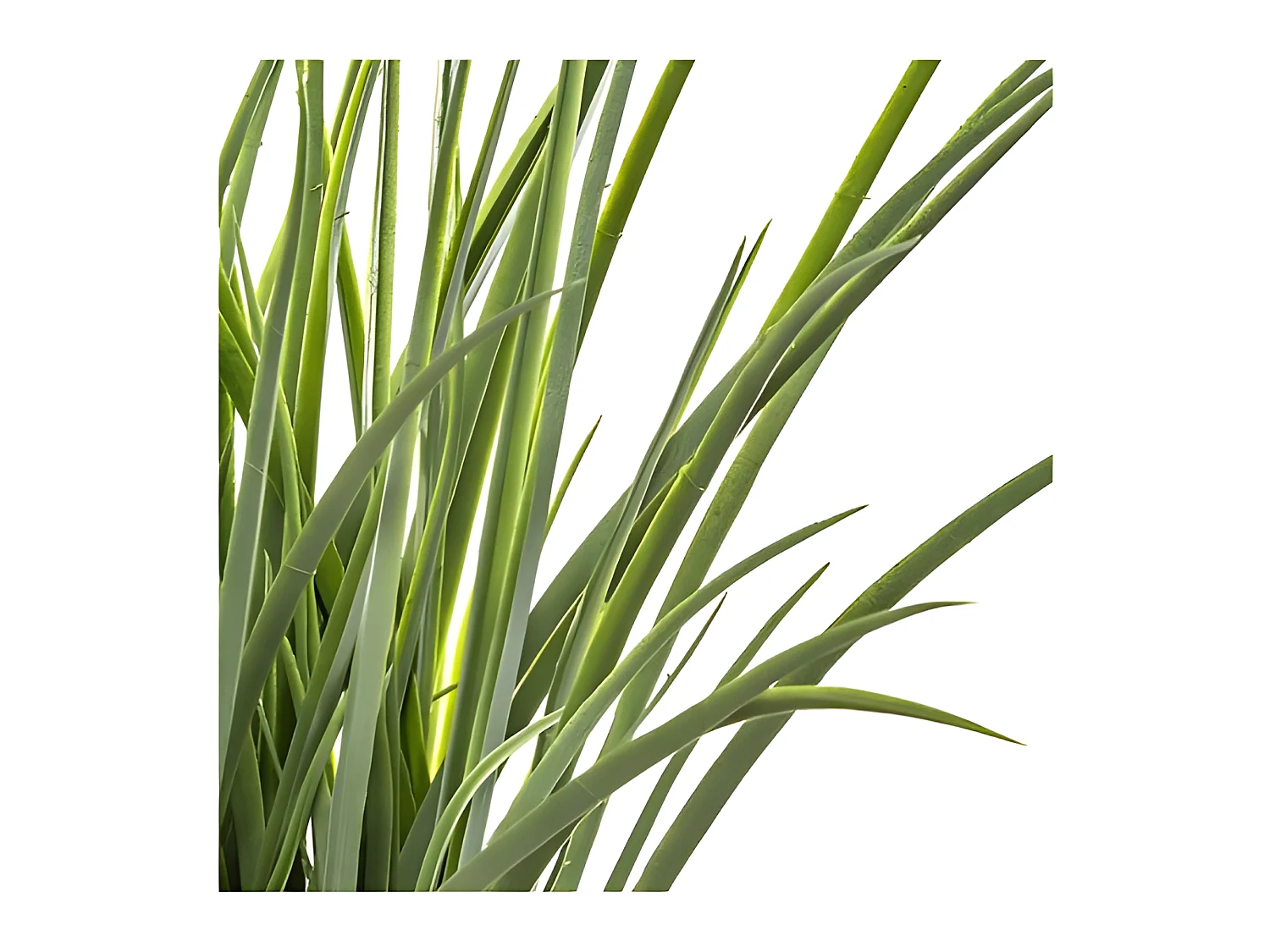 Lot de 2 plantes vertes artificielles avec pot tressé en jacinthe - Diamètre 50 x Hauteur 48,5 cm