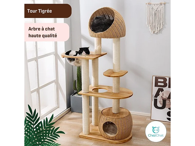 Arbre à Chat - Tour Tigrée