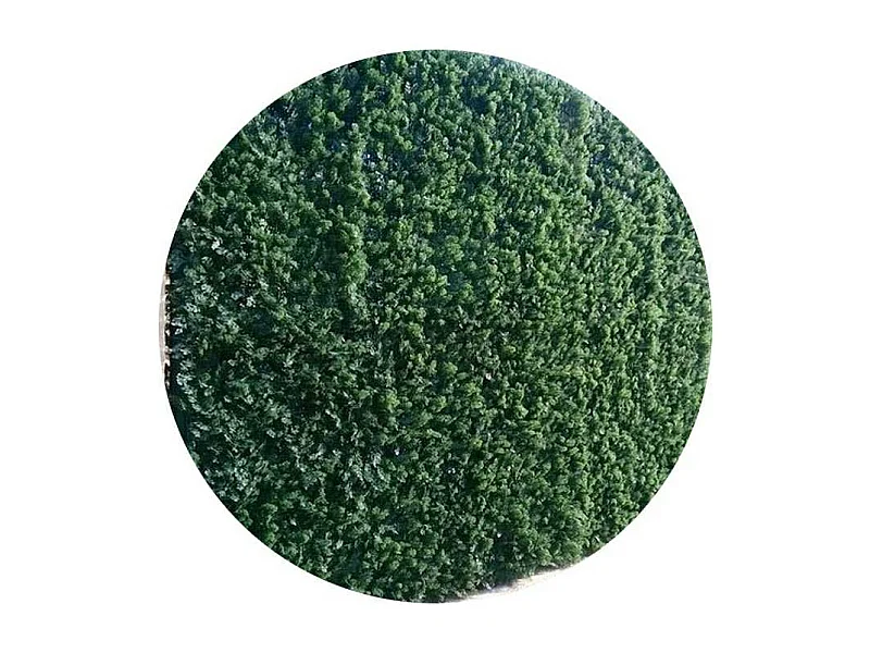 Plaques clipsables de feuillage artificiel 1m² (Lot de 4) Thuyas doré