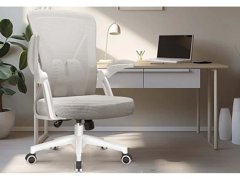 Hiazurm Chaise de Bureau Ergonomique - Chaise de Bureau - Accoudoirs Pliables - Chaises de Bureau pour Adultes - 150 Kg