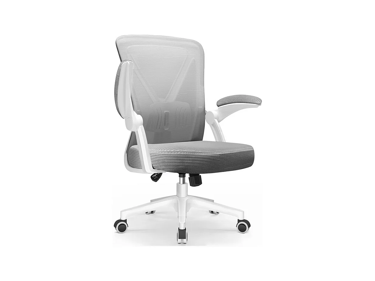 Hiazurm Chaise de Bureau Ergonomique - Chaise de Bureau - Accoudoirs Pliables - Chaises de Bureau pour Adultes - 150 Kg