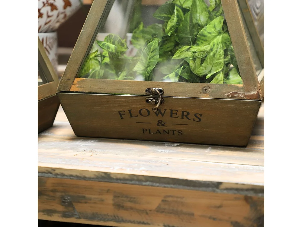 Set de 2 mini serres d'intérieur pyramide en bois naturel et verre