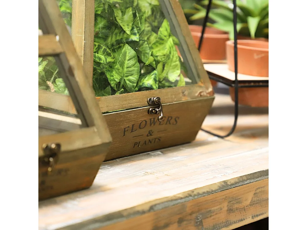 Set de 2 mini serres d'intérieur pyramide en bois naturel et verre