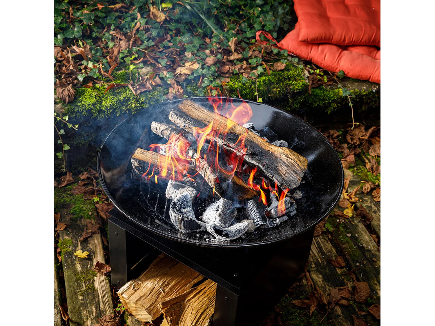 Braciere + portalegna