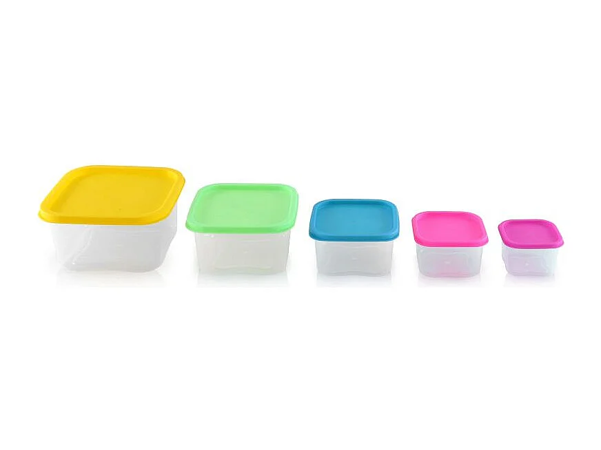 Ensemble de boites de conservations alimentaires 5 pièces Herzberg HGSFS5N1