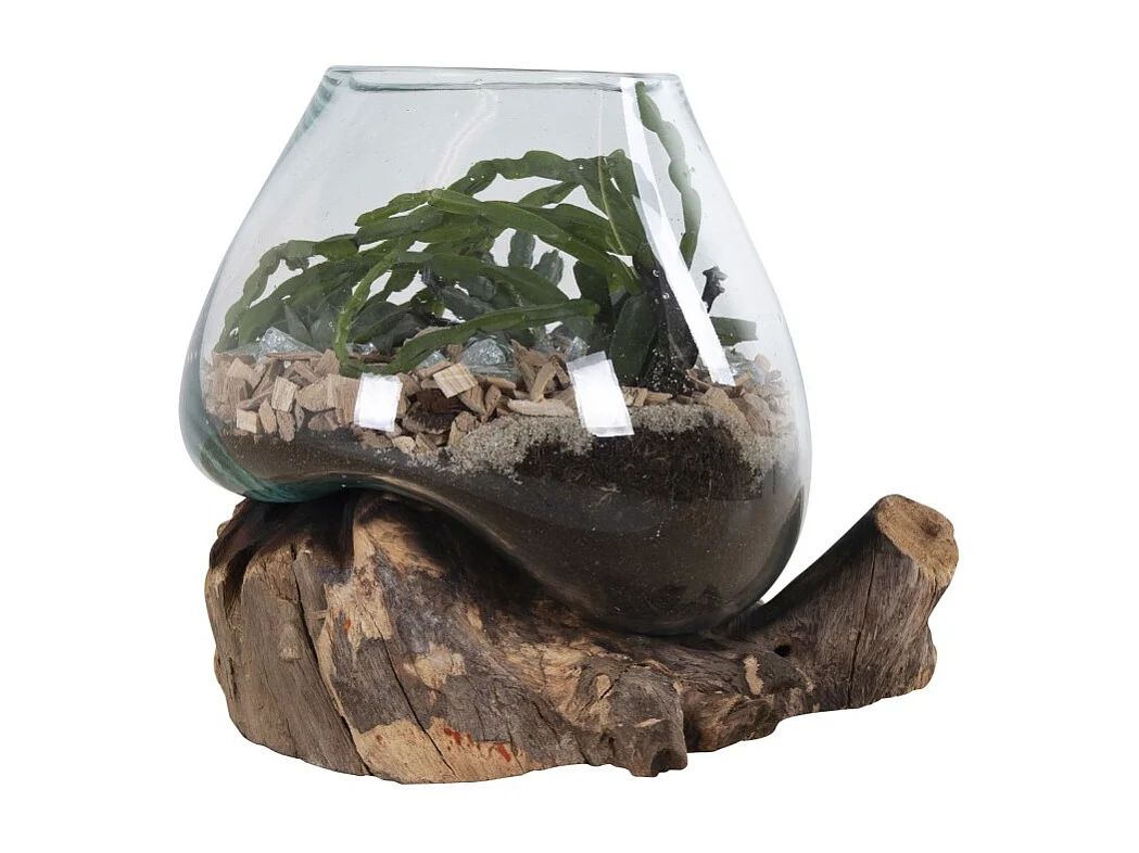 Vaso su base di legno in vetro trasparente 18x20 cm