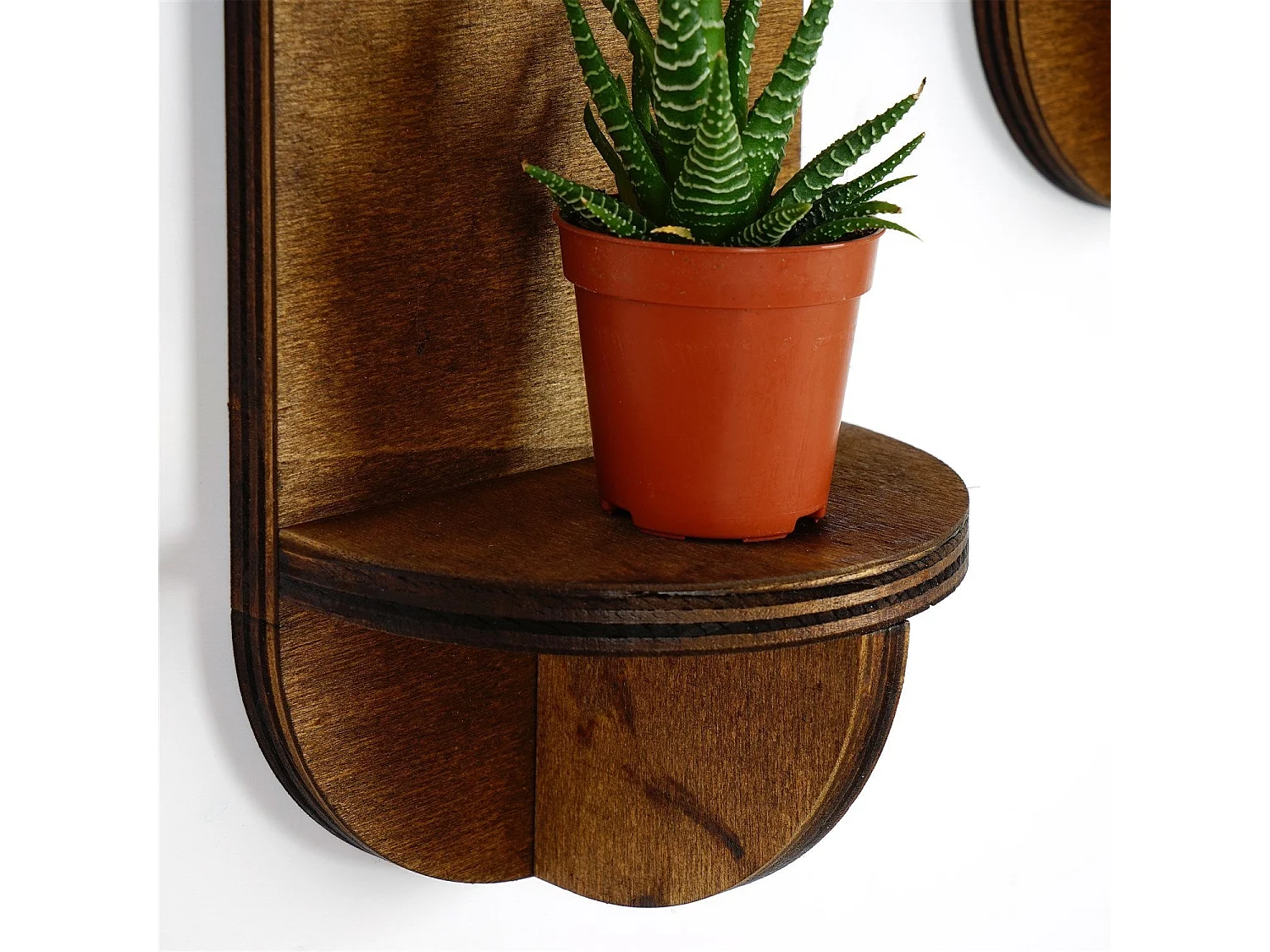 Étagère murale – 13 x 26 x 9 cm – Noyer – Contreplaqué