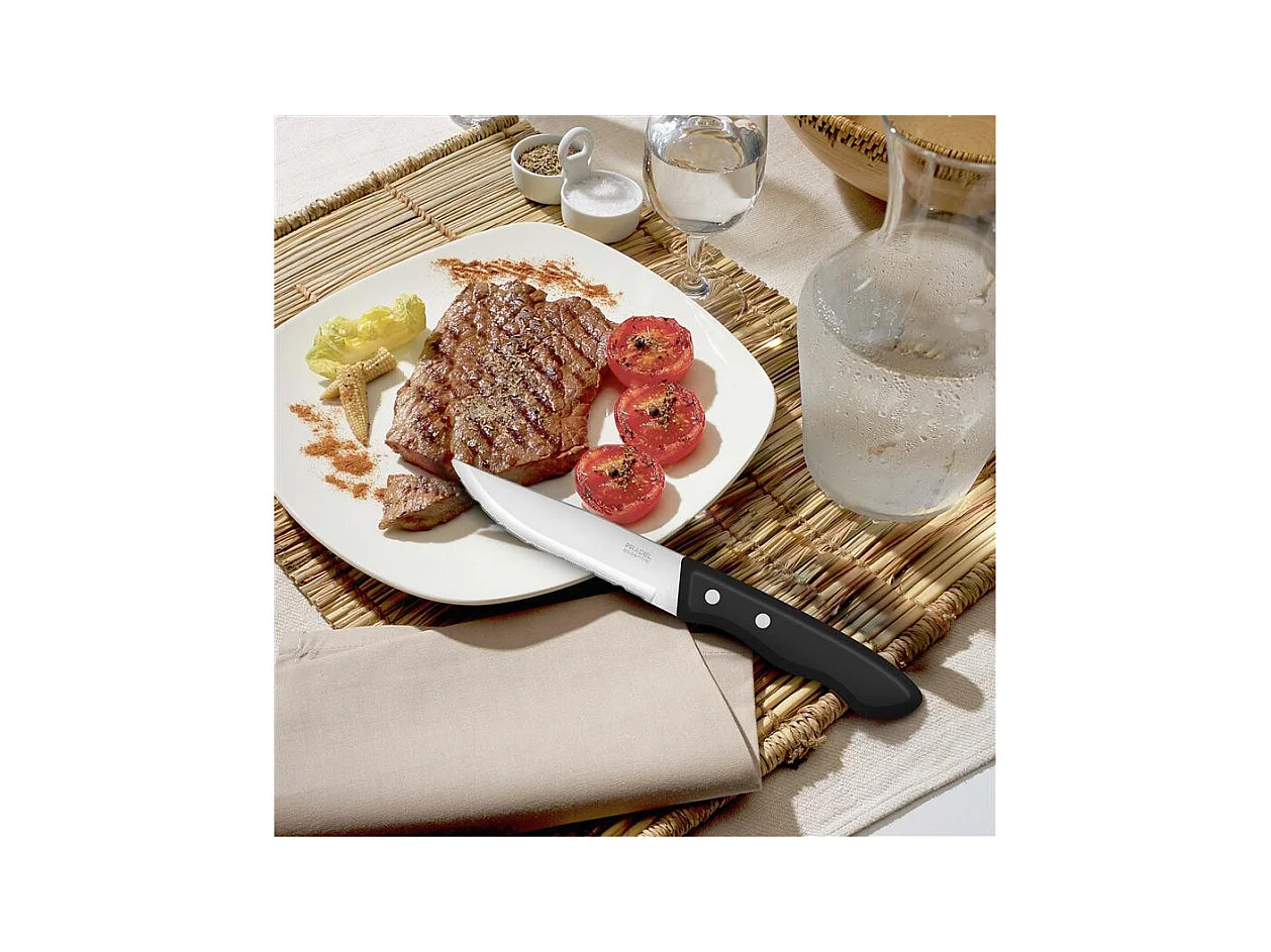 Trappeur - Set 6 couteaux steak XXL