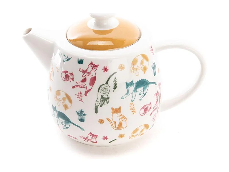 Coffret théière infuseur Marius 650 ml