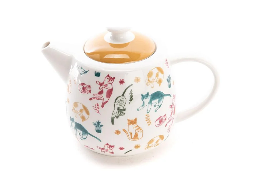 Coffret théière infuseur Marius 650 ml