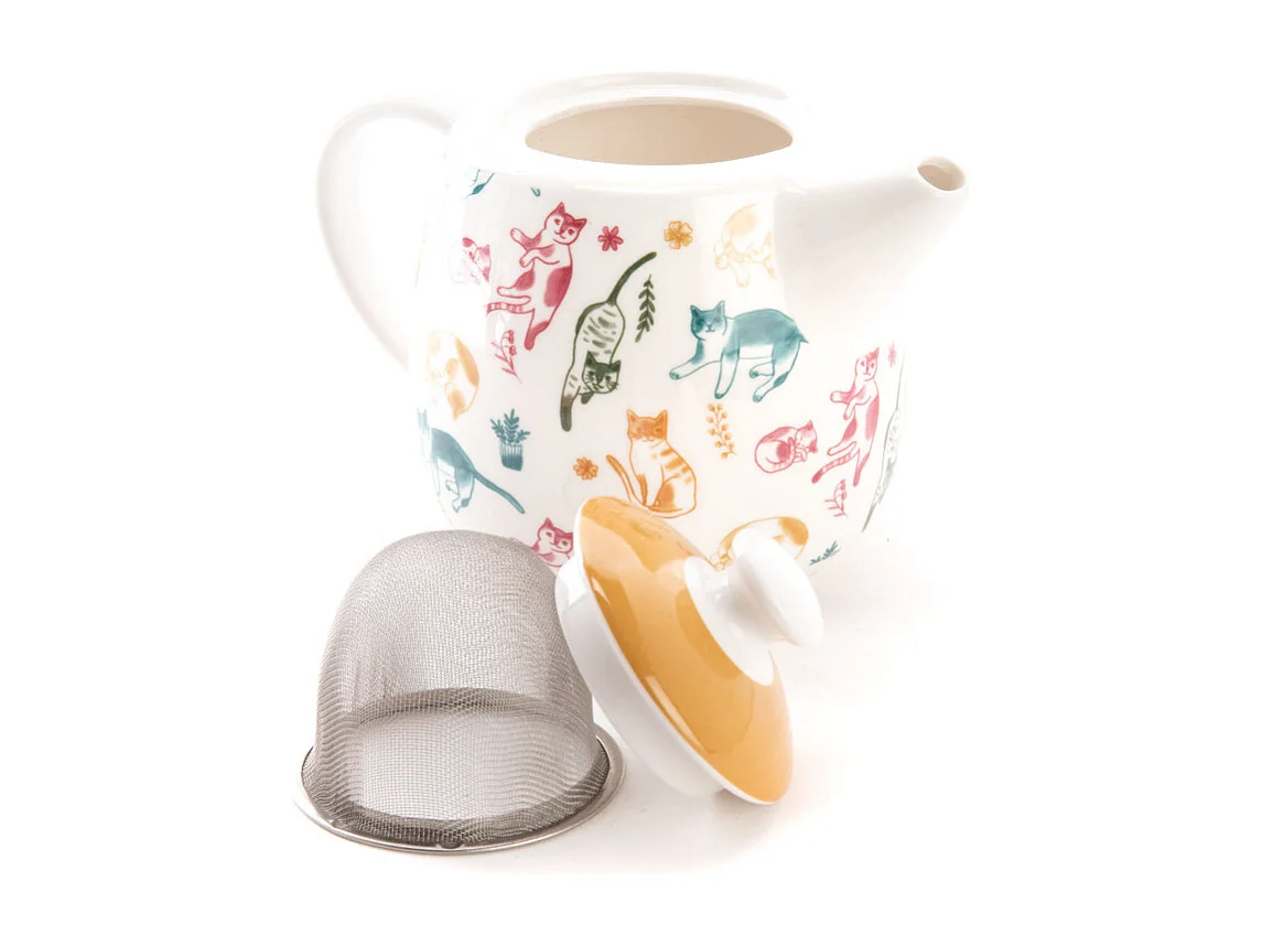 Coffret théière infuseur Marius 650 ml