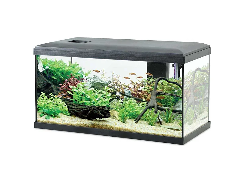 Kit aquarium eau douce avec éclairage et filtres Initio 54 litres