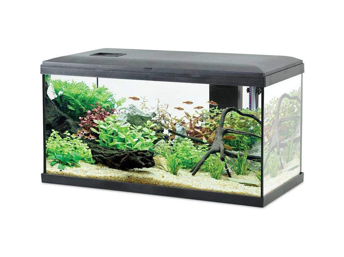 Kit aquarium eau douce avec éclairage et filtres Initio 54 litres