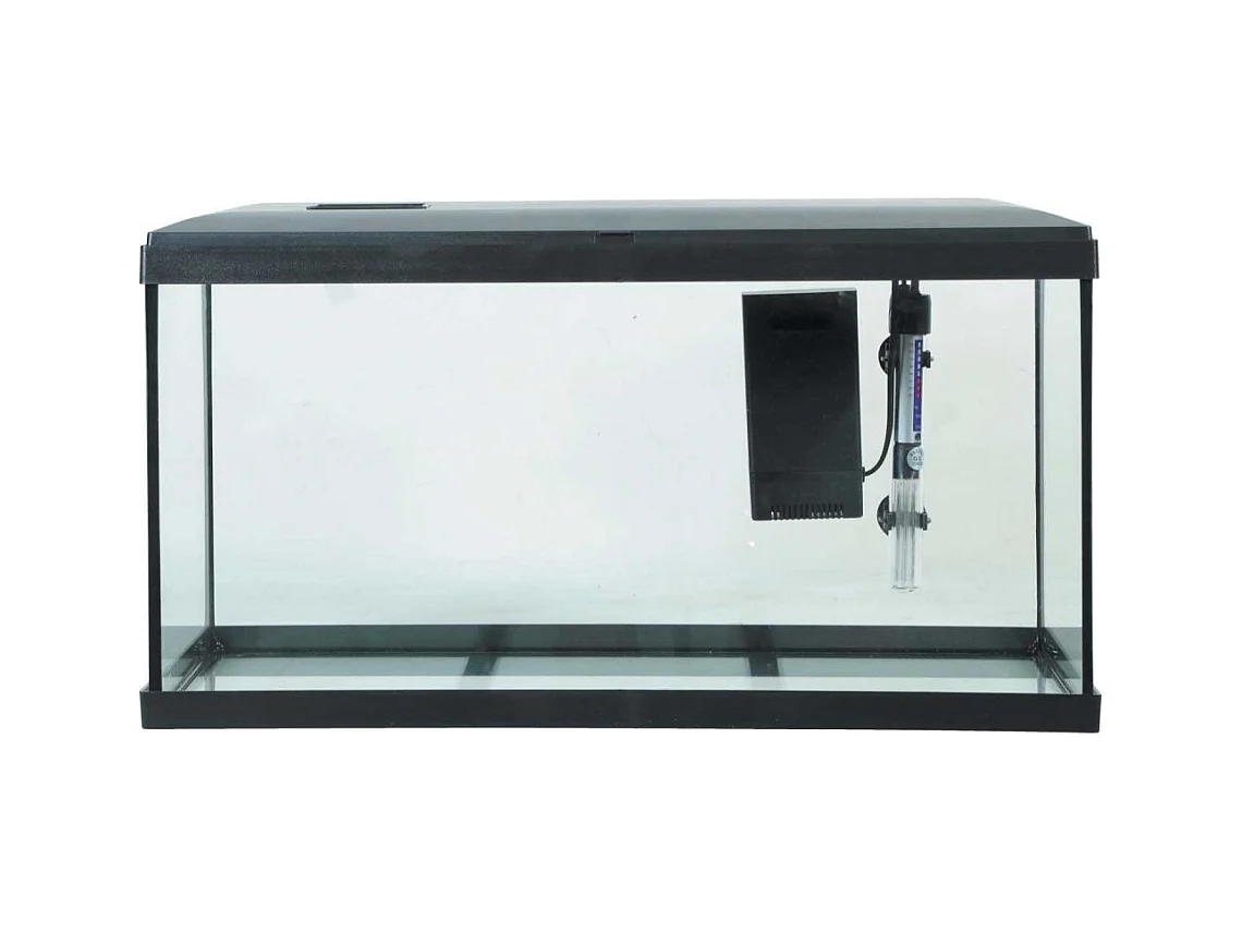 Kit aquarium eau douce avec éclairage et filtres Initio 54 litres