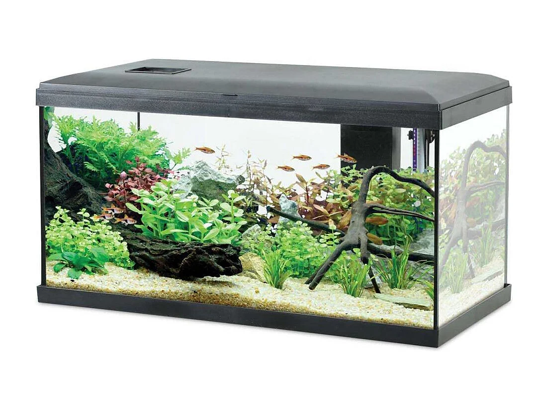 Kit aquarium eau douce avec éclairage et filtres Initio 54 litres
