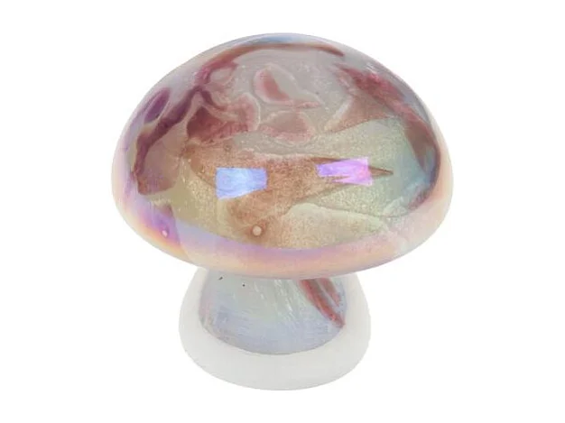 Champignon blanc prune Sulfure