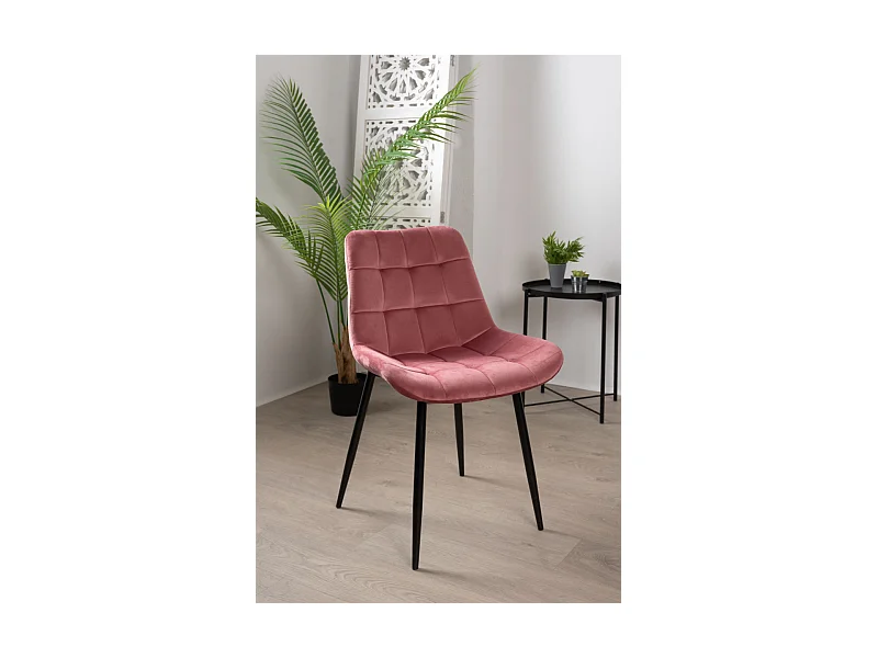 Sillas Comedor - Silla Teray Terciopelo - Rosa
