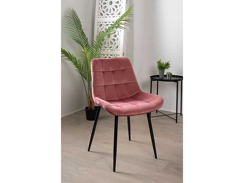 Sillas Comedor - Silla Teray Terciopelo - Rosa