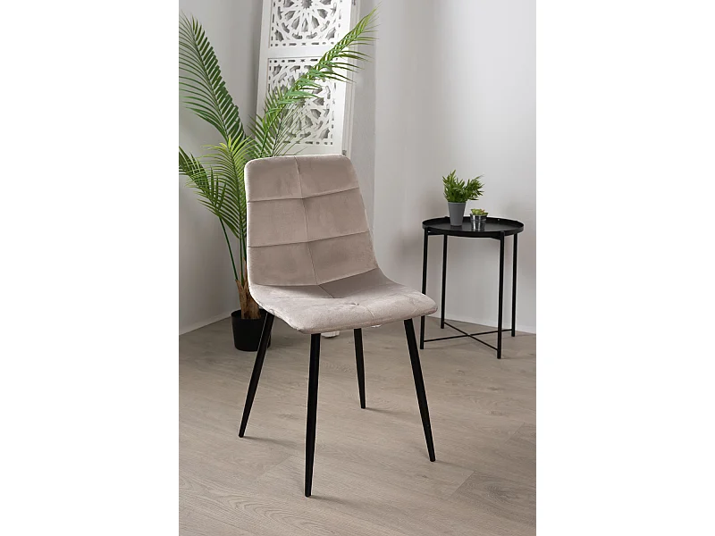 Sillas Comedor - Silla Daris Terciopelo - Gris claro
