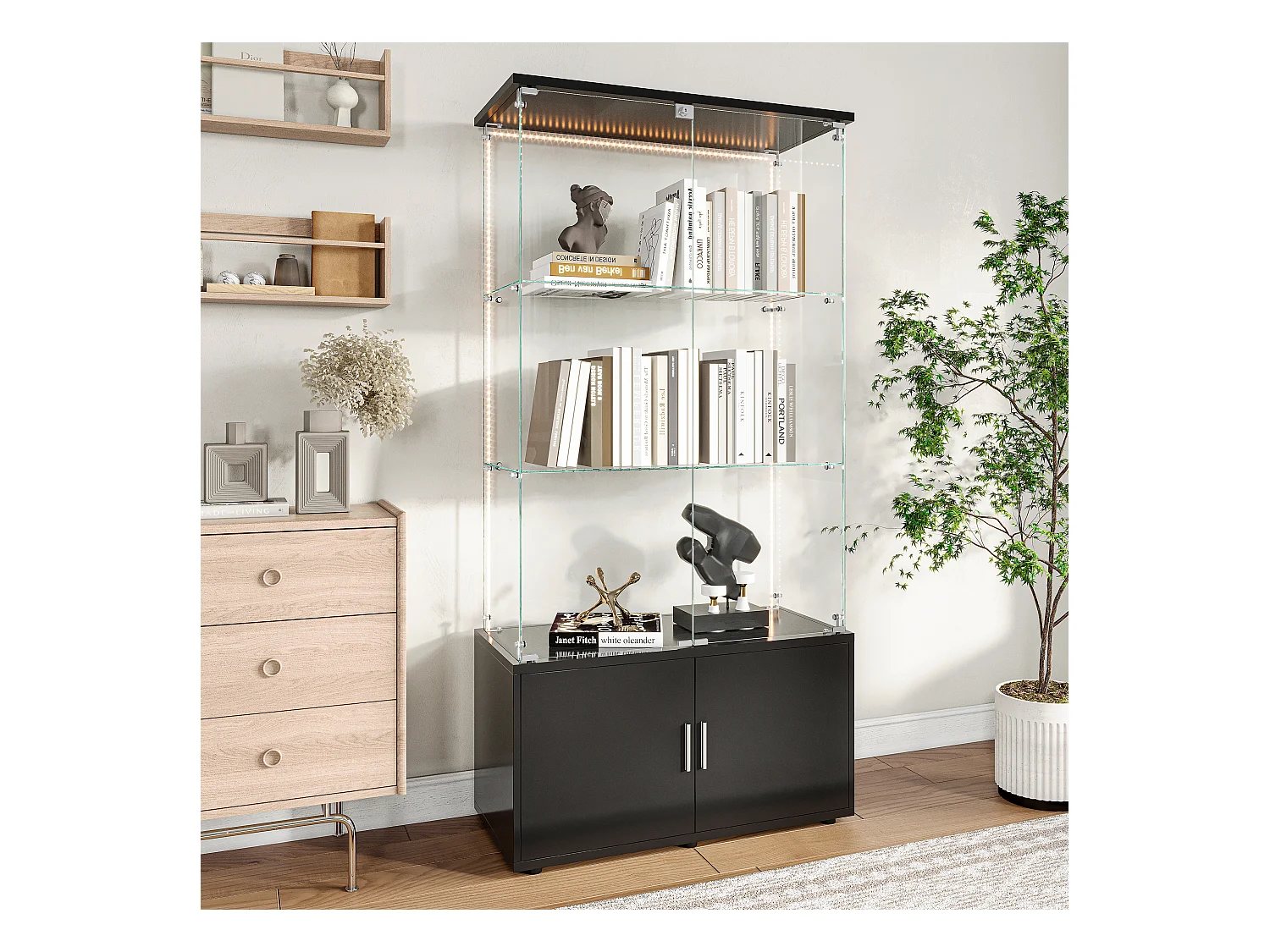 Vitrinekast met 3 planken, kasten en LED-verlichting - Modern design, Zwart