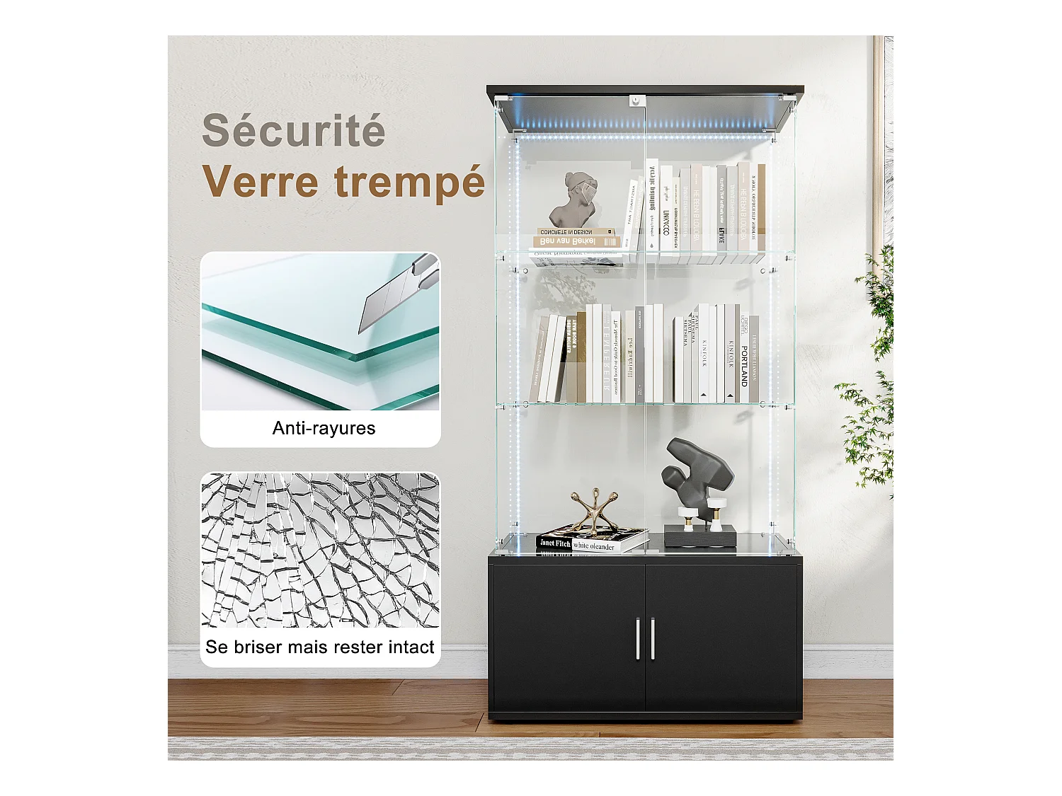 Vitrinekast met 3 planken, kasten en LED-verlichting - Modern design, Zwart