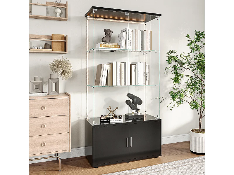 Vitrine en verre avec 3 étagères, armoires et éclairage LED – Design moderne, Noir