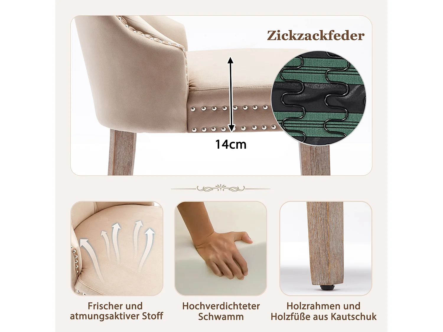 Set di 2 sedie da pranzo - Imbottite, gambe in legno massello, velluto beige, finiture borchiate