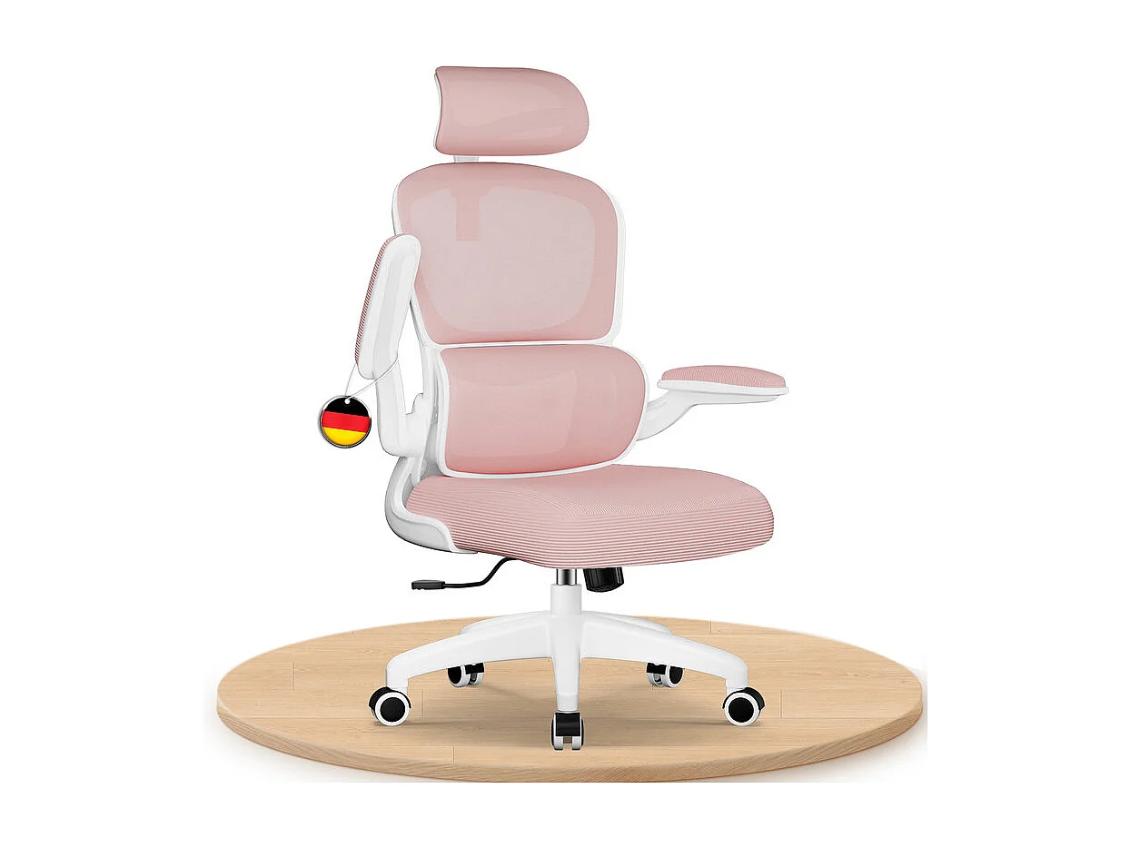 Hiazurm Chaise de Bureau Ergonomique - Chaise de Bureau avec Accoudoirs Pliables - Chaises de Bureau pour Adultes