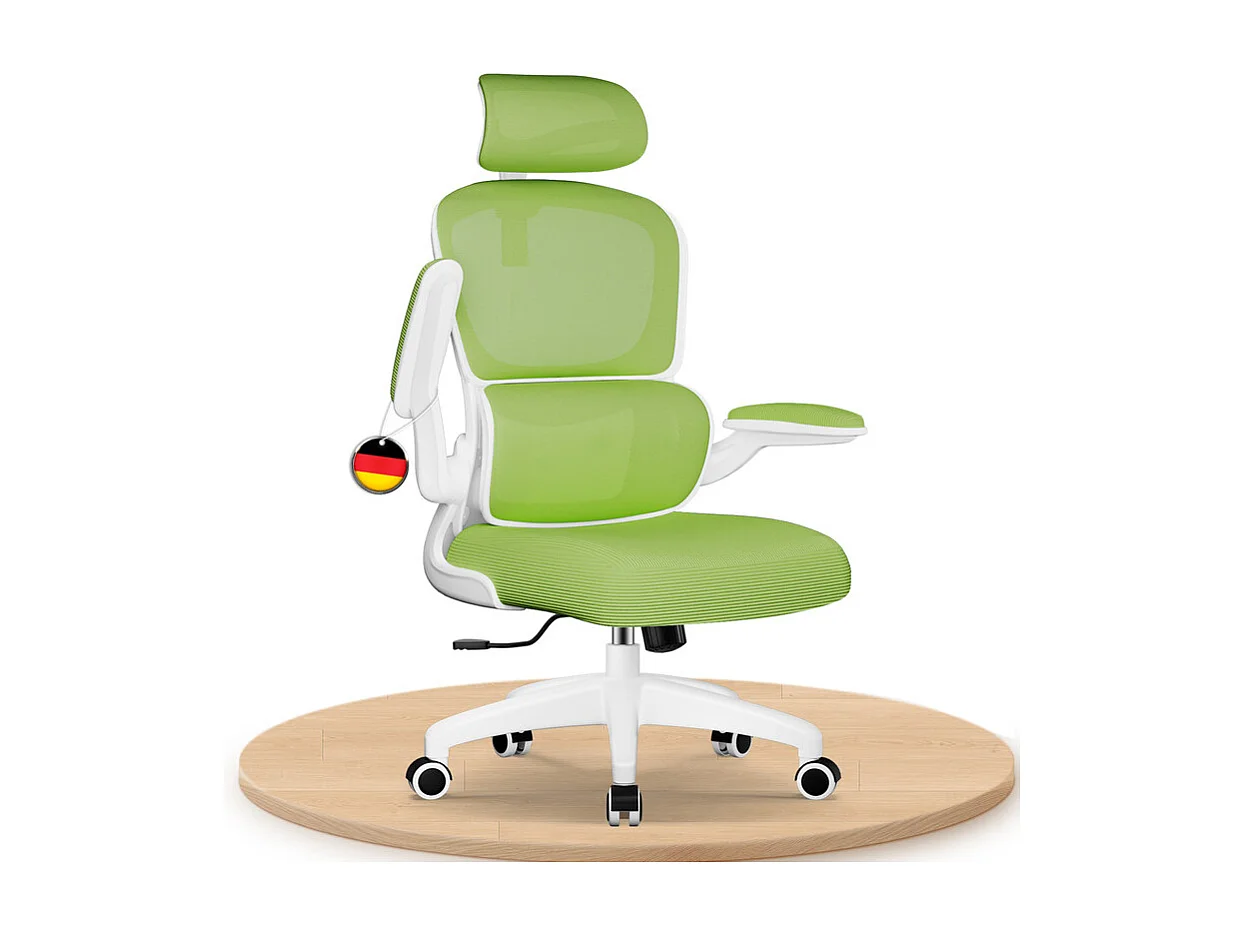 Hiazurm Chaise de Bureau Ergonomique - Chaise de Bureau avec Accoudoirs Pliables - Chaises de Bureau pour Adultes