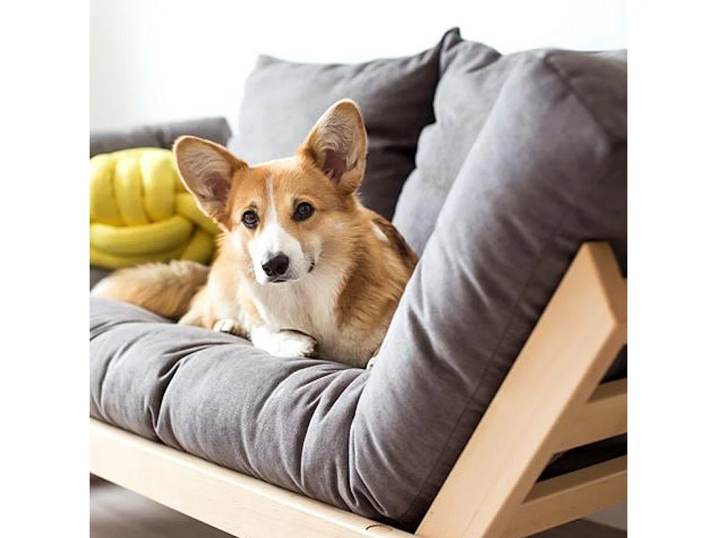 Schlafsofa 1,7x0,83x0,8 m Esche Allegro