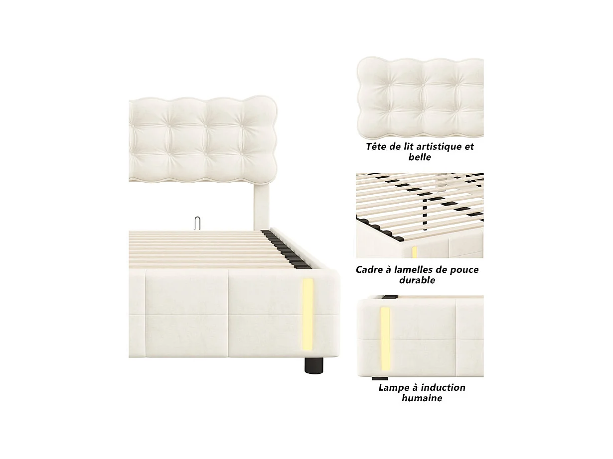 Lit 140x190 Lit Coffre Hydraulique, Grand Rangement + Lumière à Induction, Tête de Lit Velours Beige - Lit Couple Moderne Idéal Chambre Étagère
