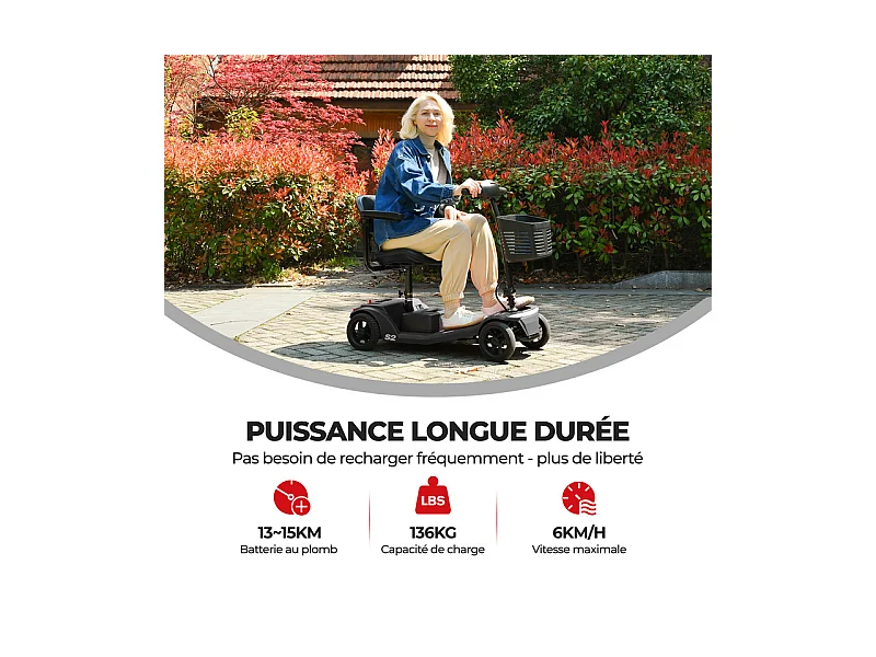 Scooter Movilidad Plegable 250W, LED/USB, 15KM Autonomía, Altura Ajustable, 136KG, Negro