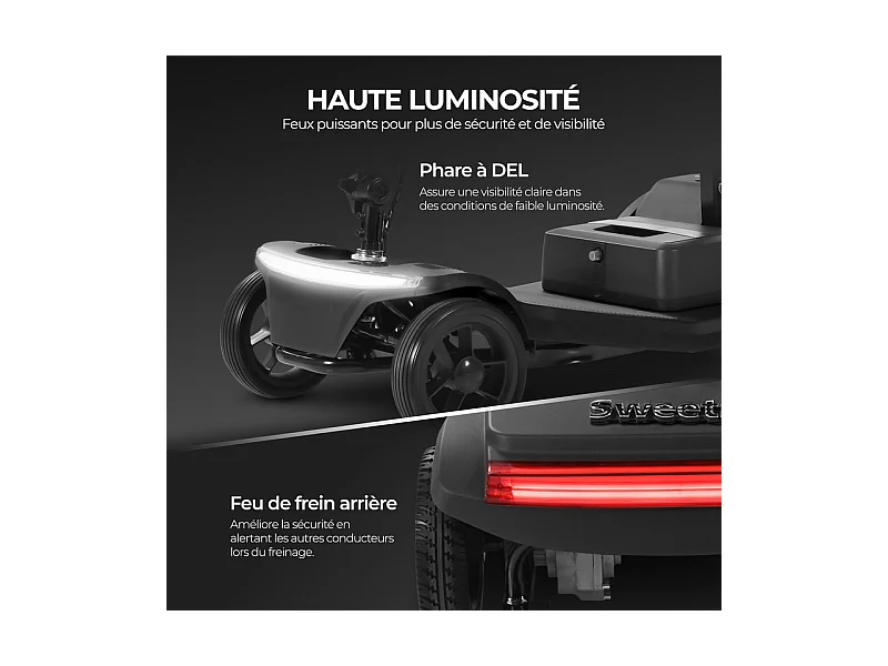 Scooter Movilidad Plegable 250W, LED/USB, 15KM Autonomía, Altura Ajustable, 136KG, Negro